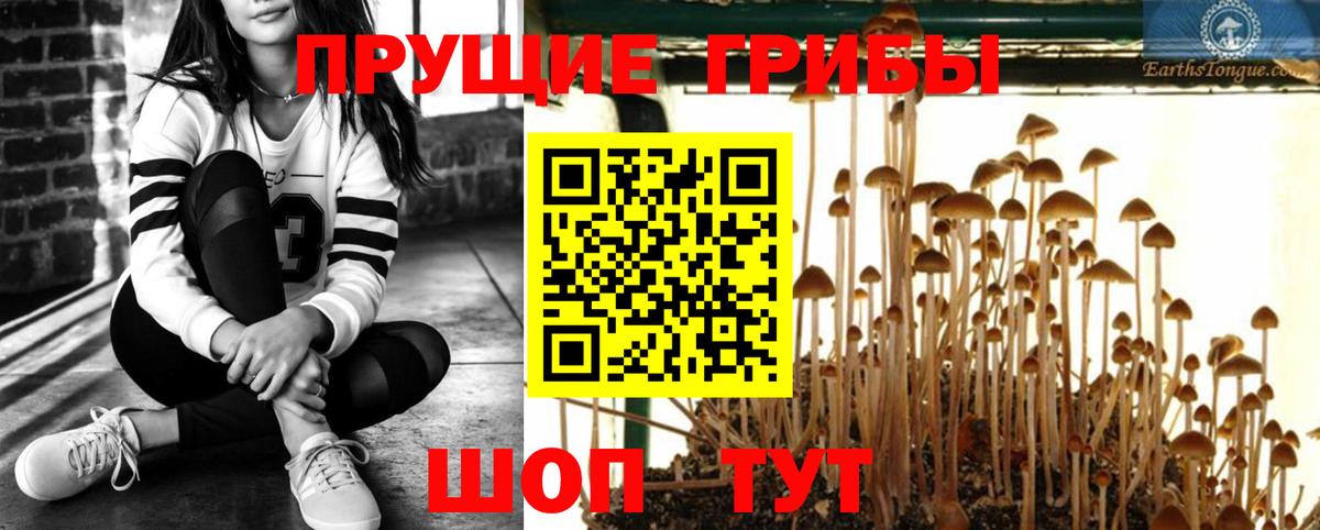 Заволжье  Галлюциногенные грибы MAGIC MUSHROOMS  Вход с VPN 